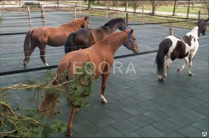 Маты из резиновой крошки для конюшни в Реутове