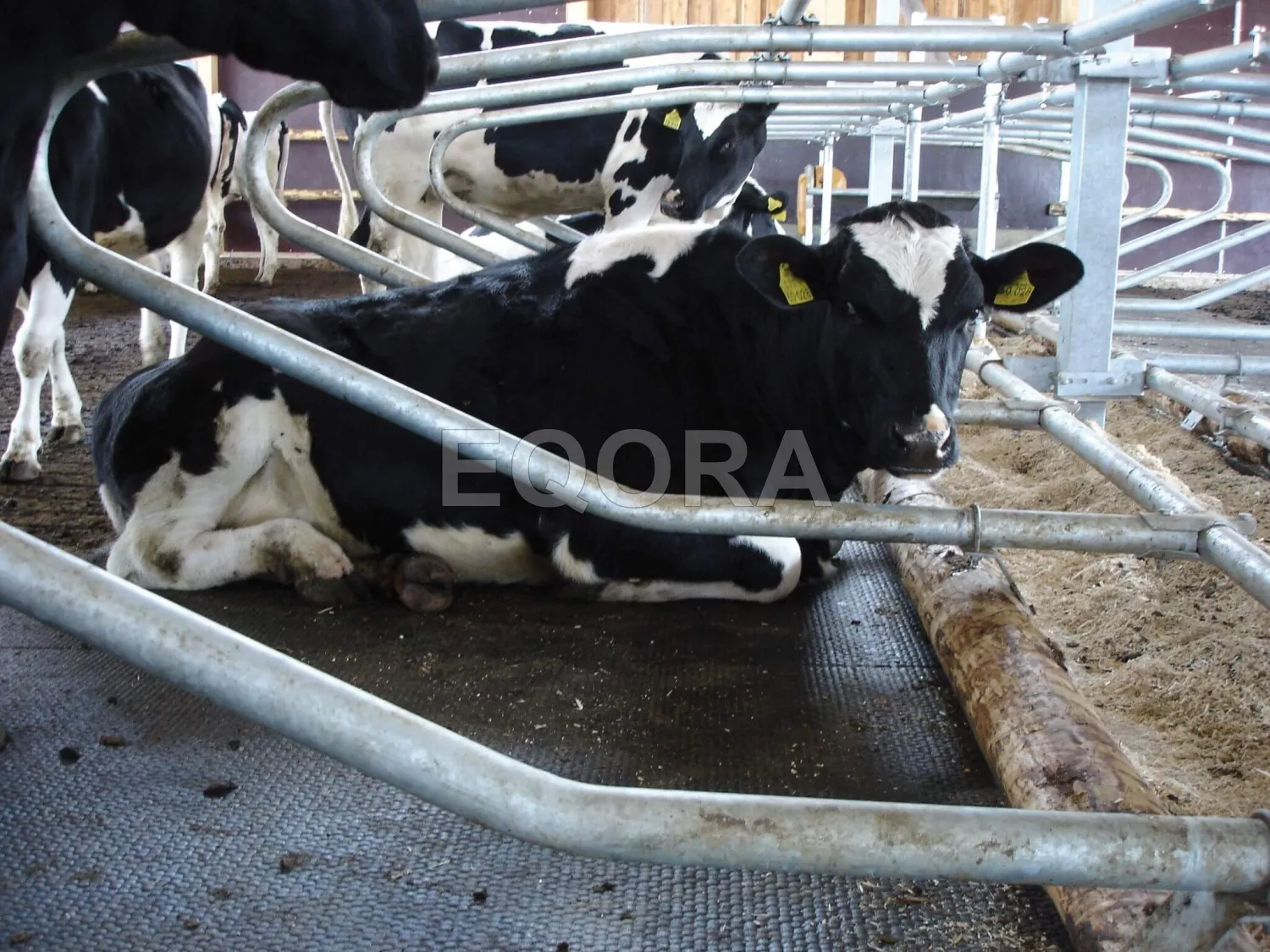 Резиновые маты из крошки для коров и КРС в Реутове